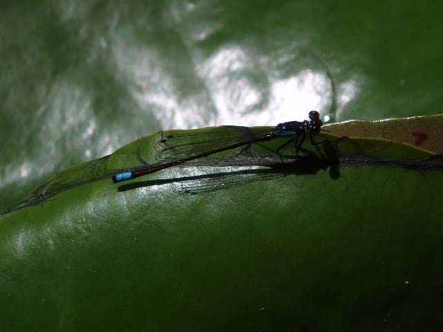 P7080278