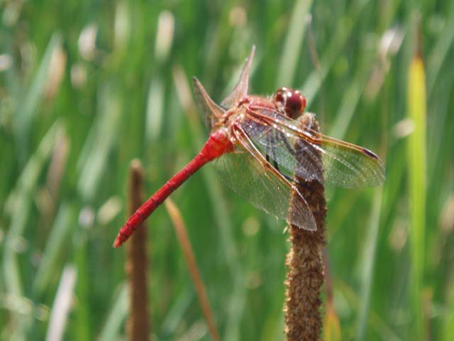 P7150093