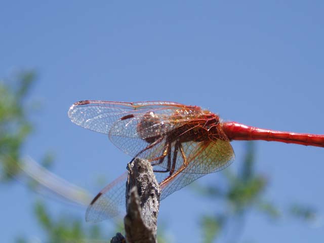 P7150128
