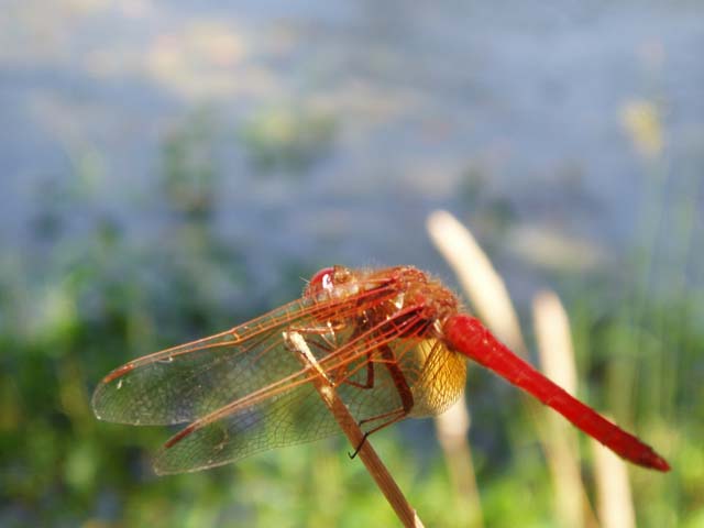 P7150171