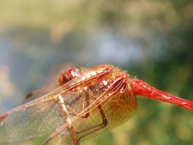 P7150174